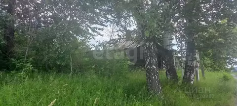 Участок в Свердловская область, Нижний Тагил ул. Челюскинцев (13.0 ...