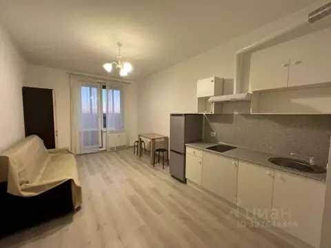 Студия Санкт-Петербург аллея Арцеуловская, 21 (25.0 м)