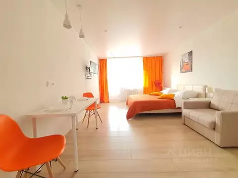 Студия Вологодская область, Вологда Новгородская ул., 8 (27.0 м)