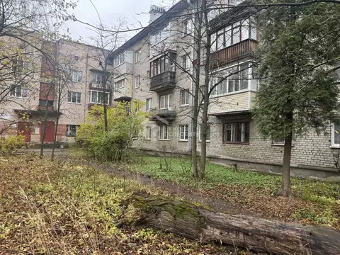 1-к кв. Ленинградская область, Отрадное Кировский район, Заводская ...