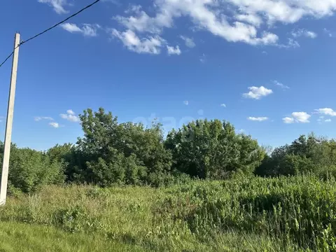 Участок в Саратовская область, Балашовский район, Репинское ...