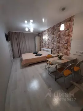 Студия Пермский край, Пермь ул. Советской Армии, 60 (22.0 м)