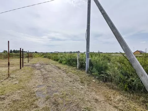 Участок в Тюменская область, Тюмень Лаванда садовое товарищество, ул. ...