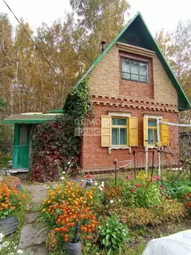 Дом в Омская область, Омск СОСН Мир тер., аллея 10-я (25 м)