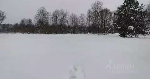 Участок в Московская область, Орехово-Зуевский городской округ, д. ...