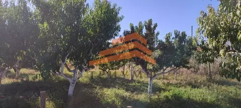 Участок в Крым, Феодосия  (7.47 сот.)