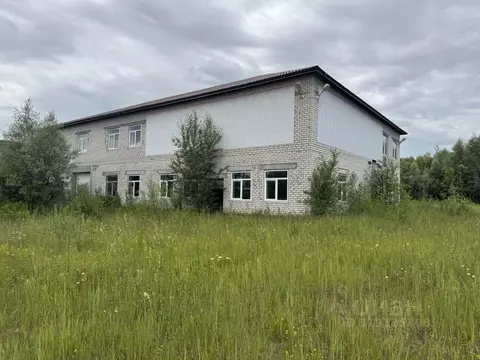 Участок в Нижегородская область, Володарский муниципальный округ, с. ...