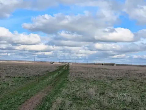 Участок в Крым, Черноморский район, с. Окуневка  (6.44 сот.)