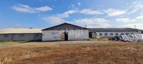 Помещение свободного назначения в Белгородская область, Чернянский ...