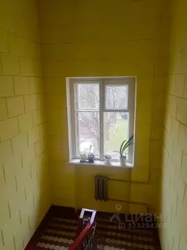 Комната Ленинградская область, Сланцы пос. Большие Лучки, ул. ...