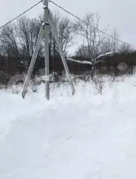 Участок в Пермский край, Пермский муниципальный округ, д. Заозерье ...