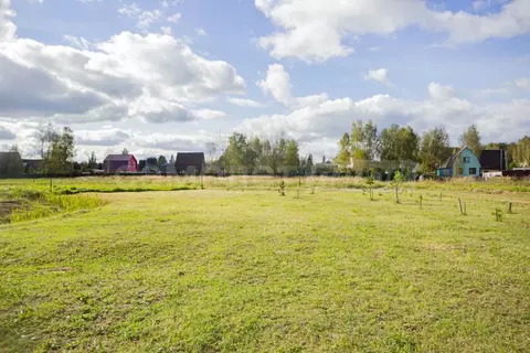 Участок в Калужская область, Боровский муниципальный округ, Совьяки ...