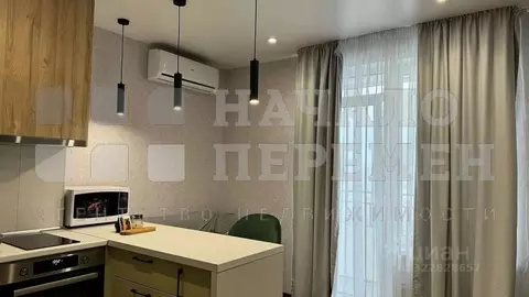 Студия Новосибирская область, Новосибирск ул. Семьи Шамшиных, 89 (46.0 ...