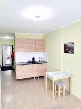 Квартира, 1 комната, 24 м