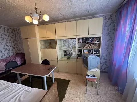 1-к кв. Брянская область, Дятьковский район, д. Березино Керамическая ...