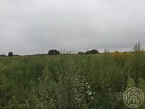 Участок в Ленинградская область, Лужский район, Ям-Тесовское с/пос, ...