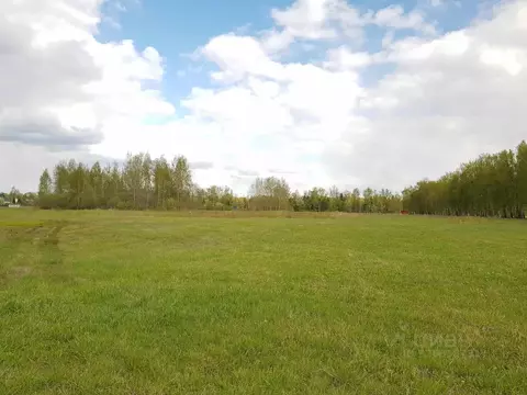 Участок в Москва № 68 кв-л,  (920.0 сот.)