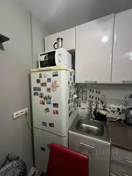 Студия Пермский край, Пермь Автозаводская ул., 30 (23.4 м)