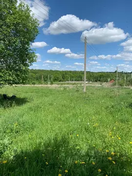 Участок в Тульская область, Алексинский район, с. Сенево  (12.0 сот.)