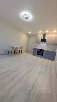 Студия Санкт-Петербург пос. Парголово, Заречная ул., 13к1 (27.0 м)