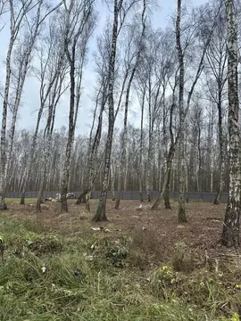 Участок в Московская область, Домодедово КП Данилово Парк тер., 283 ...