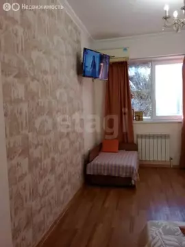 1-комнатная квартира: Анапа, улица Шевченко, 288А (30 м)