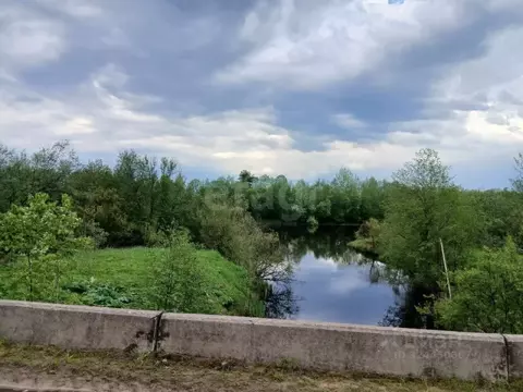 Участок в Ленинградская область, Волховский район, Пашское с/пос, с. ...