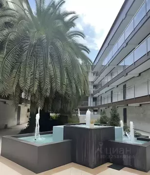 2-к кв. Краснодарский край, Сочи ул. Ленина, 219А/2 (45.0 м)