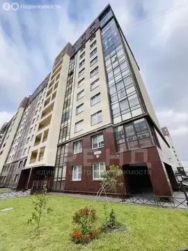 Квартира-студия: Санкт-Петербург, проспект Ветеранов, 169к3 (23.7 м)