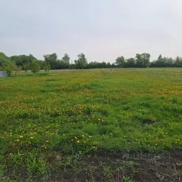 Участок в Тульская область, Веневский муниципальный округ, д. ...