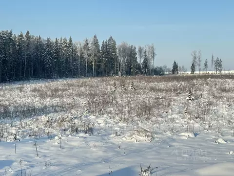Участок в Московская область, Клин городской округ, Даско садовое ...