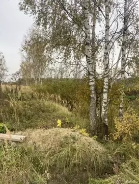 Участок в Московская область, Истра муниципальный округ, д. Загорье  ...