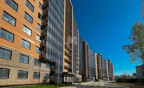 1-к кв. Ленинградская область, Всеволожский район, д. Новое Девяткино ...