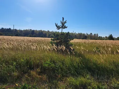 Участок в Московская область, Орехово-Зуевский городской округ, д. ...
