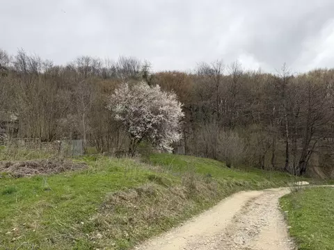 Участок в Карачаево-Черкесия, Урупский район, с. Курджиново Верхняя ...