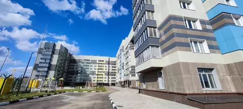 Помещение свободного назначения в Москва № 27 кв-л, 95 (86 м)