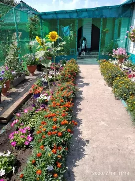 Дом в Амурская область, Константиновский район, с. Новопетровка ул. ...