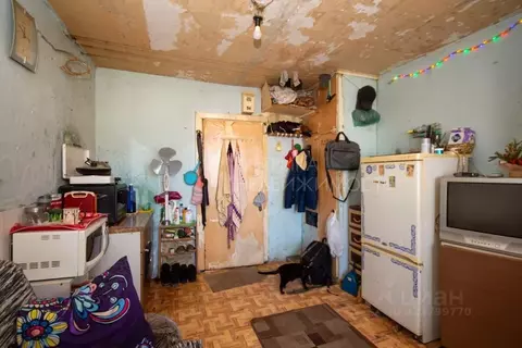 Студия Тюменская область, Тюмень ул. Республики, 214 (12.3 м)