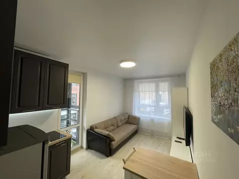 Студия Московская область, Балашиха ш. Косинское, 10 (20.3 м)