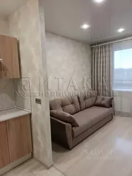 Студия Санкт-Петербург ул. Маршала Тухачевского, 23 (23.0 м)