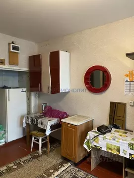 1-к кв. Нижегородская область, Бор Профсоюзная ул., 2 (20.2 м)