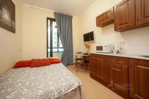 1-к кв. Москва Каширское ш., 65к3 (20.0 м)