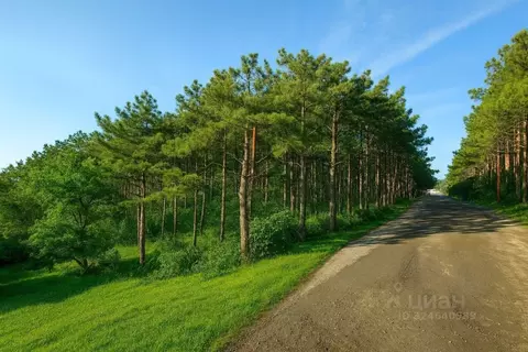 Участок в Крым, Алушта муниципальный округ, пос. Семидворье, Аян-Дере ...