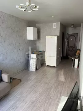 Студия Вологодская область, Вологда ул. Карла Маркса, 121 (23.8 м)