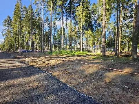 Участок, 9 сот., поселения (ижс)