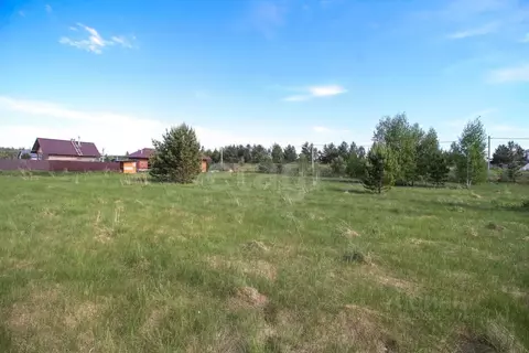 Участок в Алтайский край, Первомайский район, с. Баюновские ключи ...