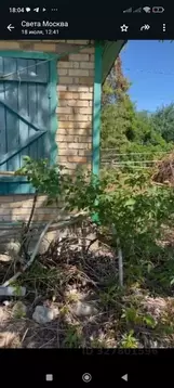 Дом в Нижегородская область, Балахнинский муниципальный округ, № 10 ...