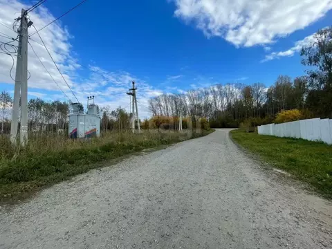 Участок в Новосибирская область, Тогучин Лесная ул. (15.0 сот.)