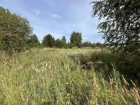 Участок в Свердловская область, Нижний Тагил с. Ольховка,  (10.25 ...