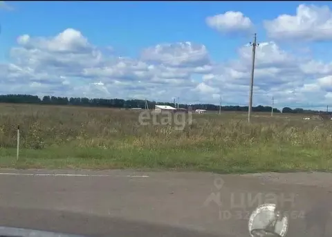 Участок в Курганская область, Кетовский муниципальный округ, с. ...